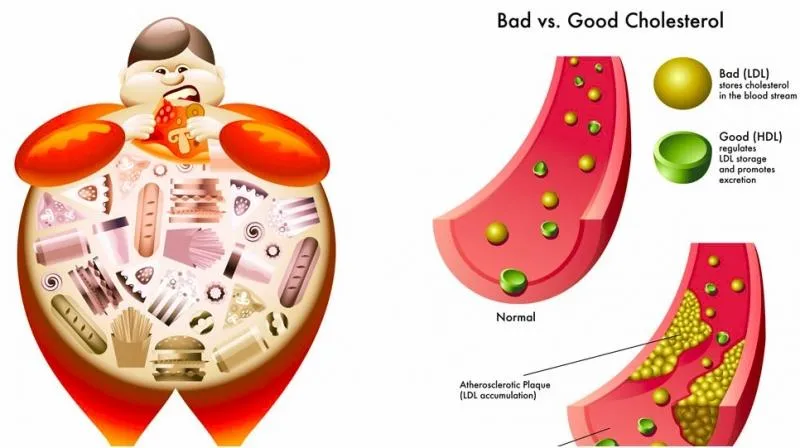 Top 10 Bí mật mà bạn chưa biết về thời kỳ mãn kinh