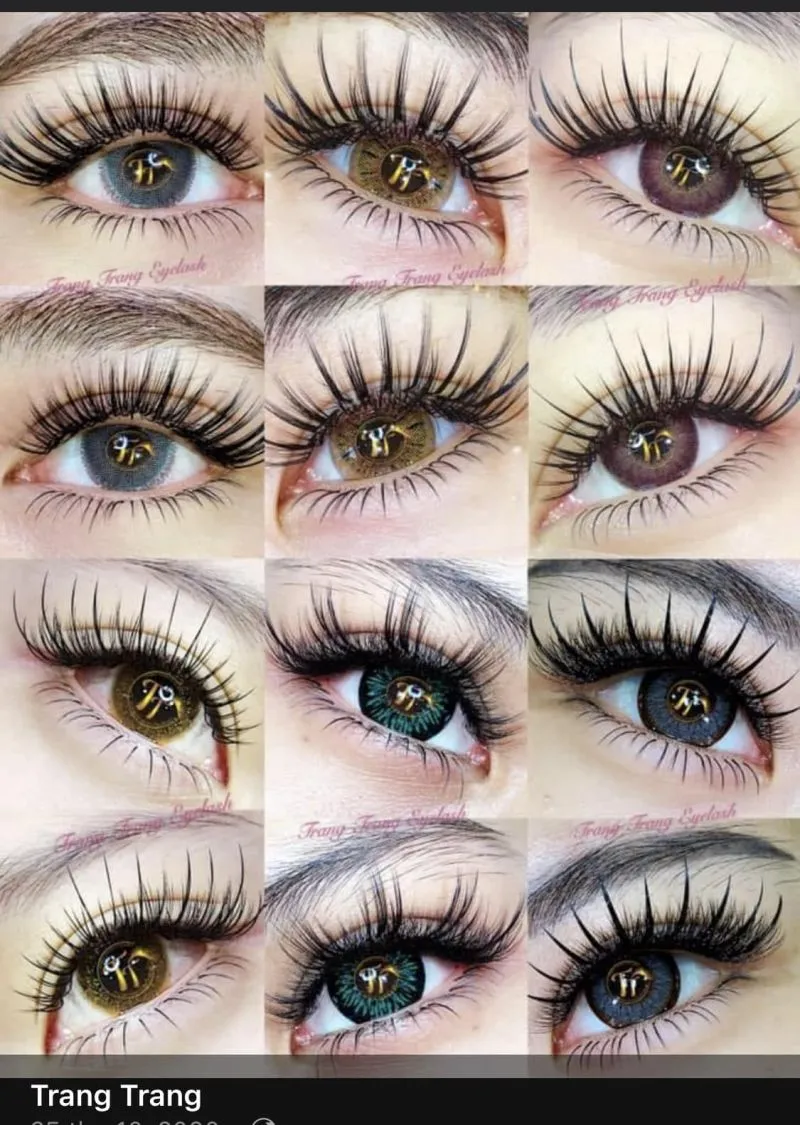 Top 10 Địa chỉ nối mi đẹp và chất lượng nhất Hải Phòng