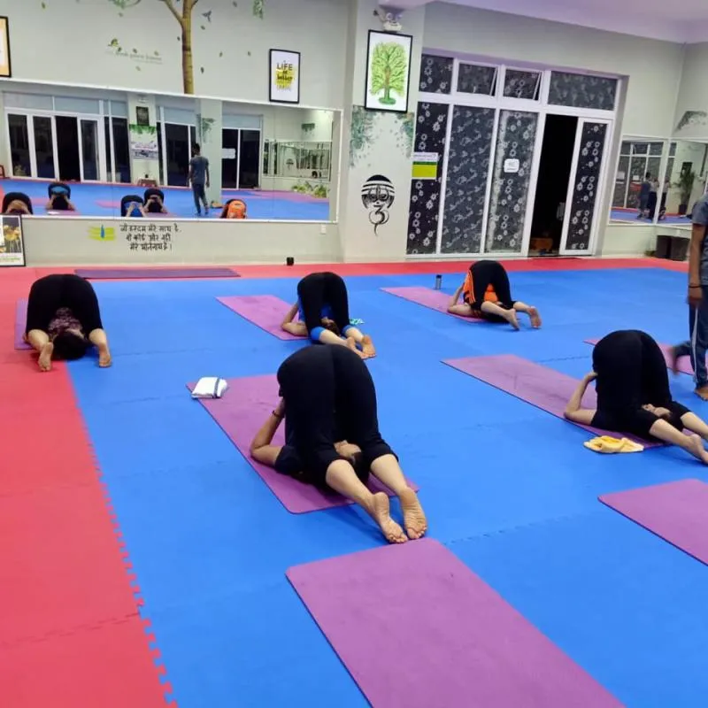 Top 10 Phòng tập Yoga uy tín nhất tại Đà Nẵng