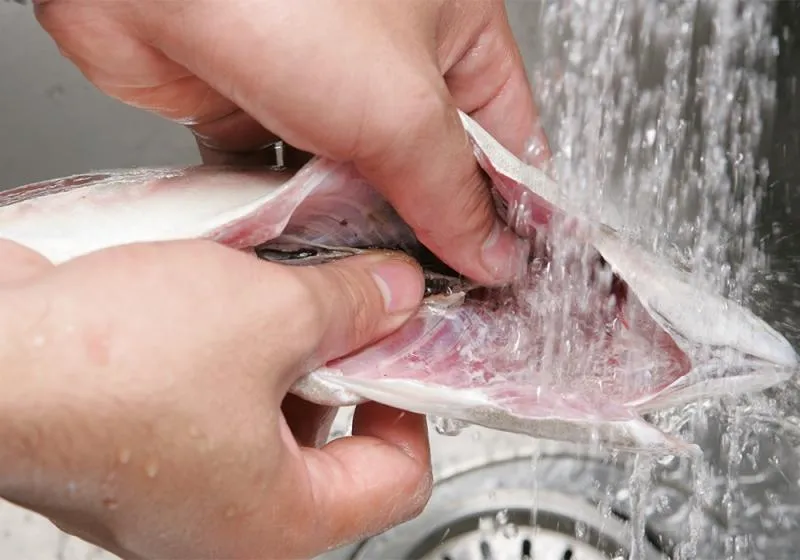 Top 10 Thói quen sử dụng tủ lạnh sai cách gây hại cho sức khỏe