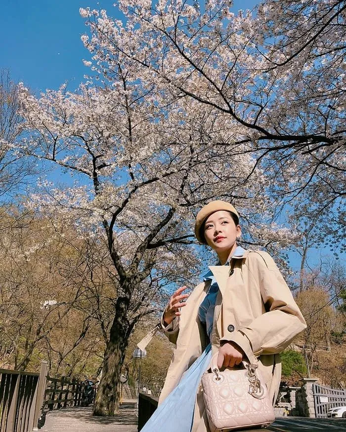 Top 18 Lưu ý khi đi du lịch vào dịp Tết