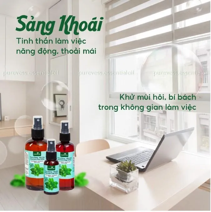 Top 6 Loại thuốc xịt khử trùng nhà cửa tốt nhất